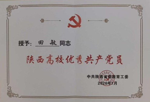 2025欧洲杯