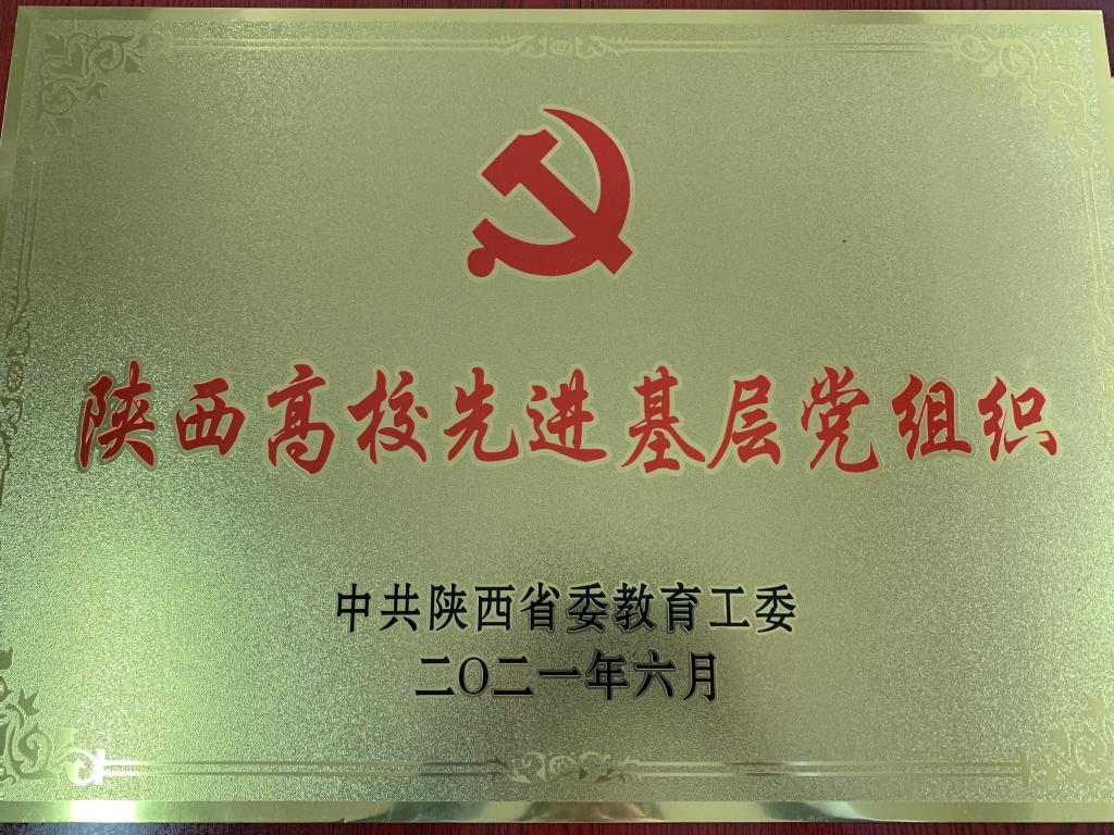 2025欧洲杯